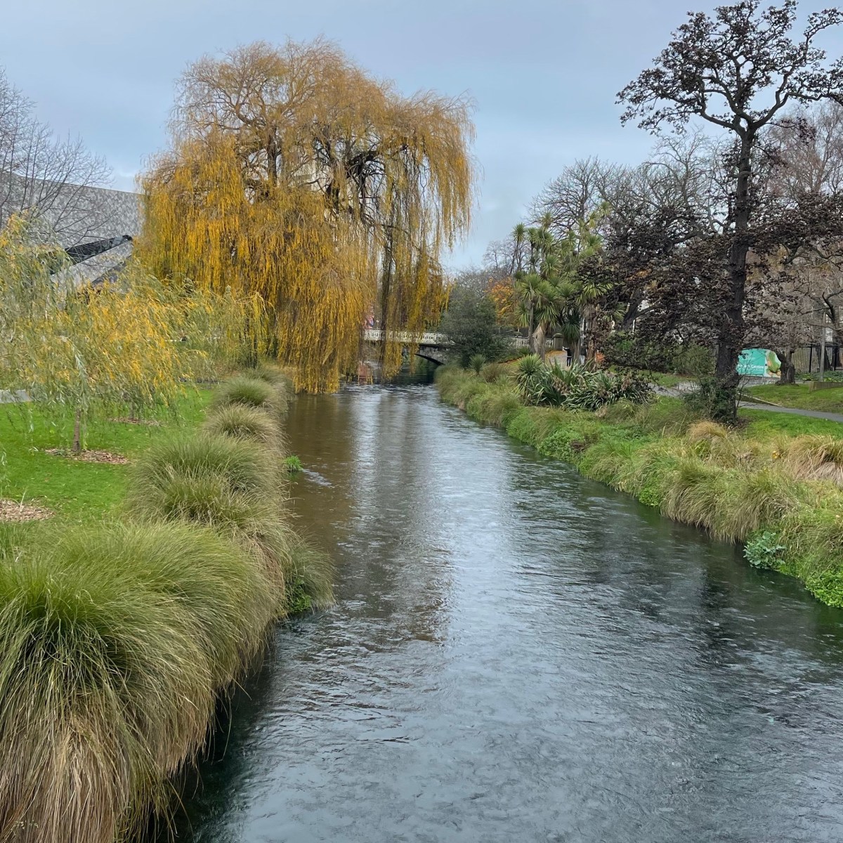 Christchurch Chronicles