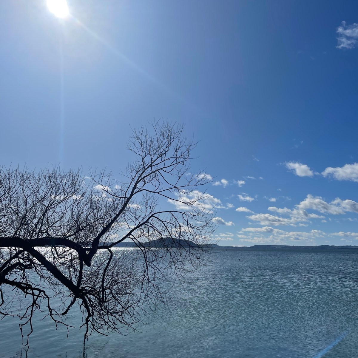 Working (Way More Than)&nbsp;9-5