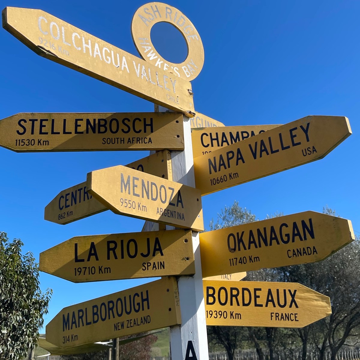 Wine and (A Lack of)&nbsp;Dine